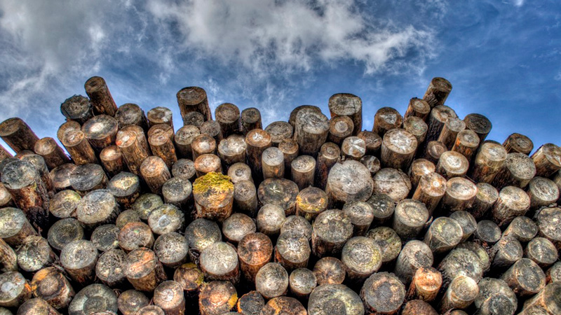 ������������ ������ ���������� �������� ��������� ����������� �� ������������� ��� ������������� ����